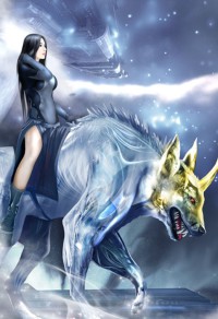 神级王婿