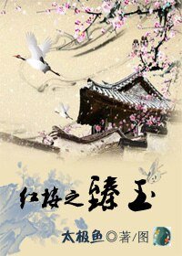 (红楼同人)红楼之臻玉