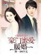 抱抱娇妻:豪门蜜爱暖婚