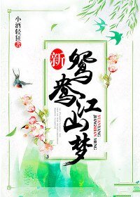新鸳鸯江山梦
