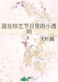 《混在综艺节目里的小透明》