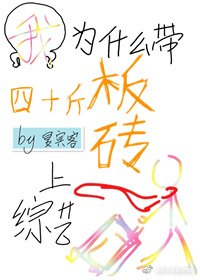 《我为什么带四十斤板砖上综艺》