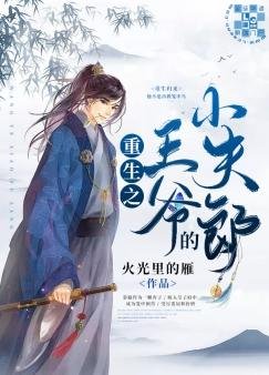 《重生之王爷的小夫郎》