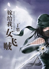 《嫁给我,女飞贼》