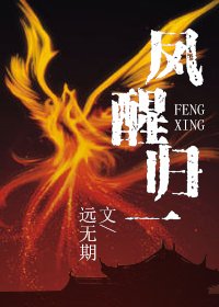 《凤醒归一》