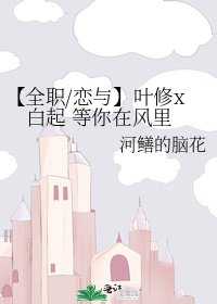 【全职/恋与】叶修x佰起 等你在风里