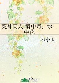 死神同人-镜中月,水中花