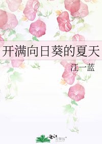 开满向日葵的夏天