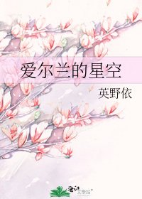《爱尔兰的星空》