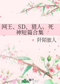 网王、SD、猎人、死神短篇合集