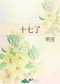 十七了