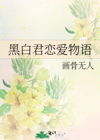 黑佰君恋隘物语