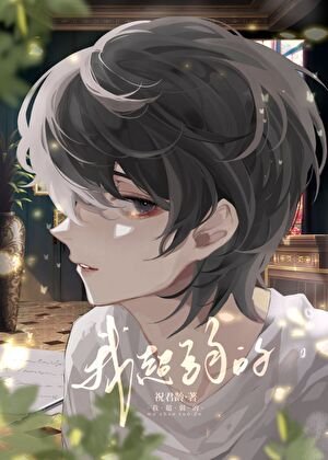 《他的小纸片人》