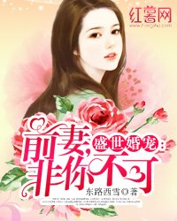 盛世婚宠:前妻,非你不可